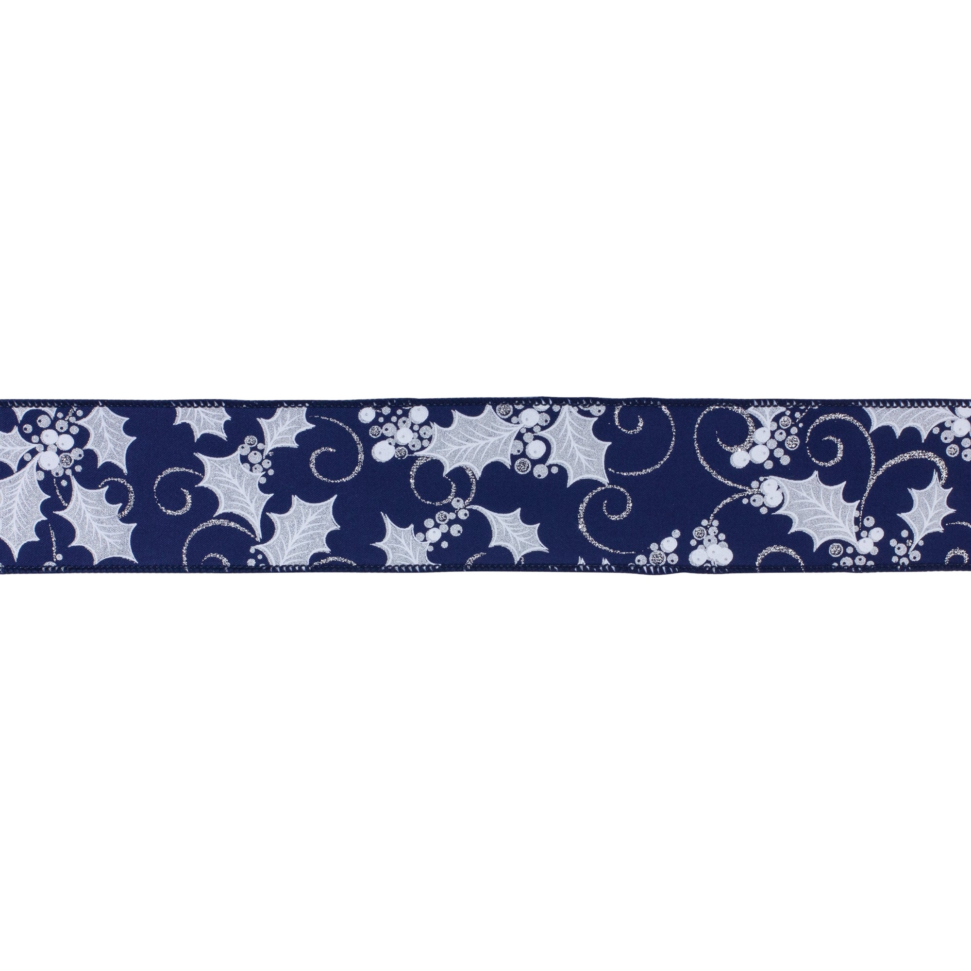 2.5" x 10 Yds. Ribbon (Set of 2) Wired Polyester