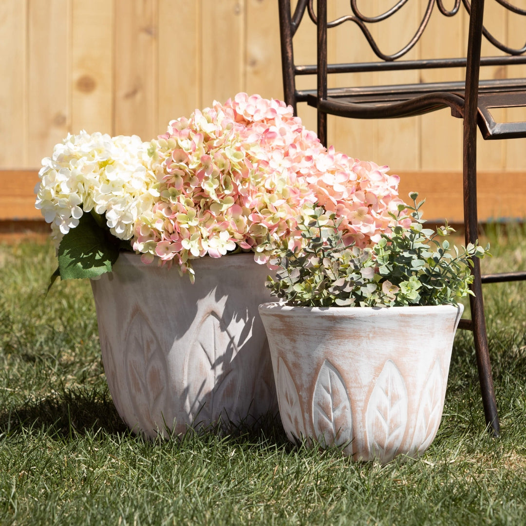 Nature-Inspired Leaf Patterned Pot Set