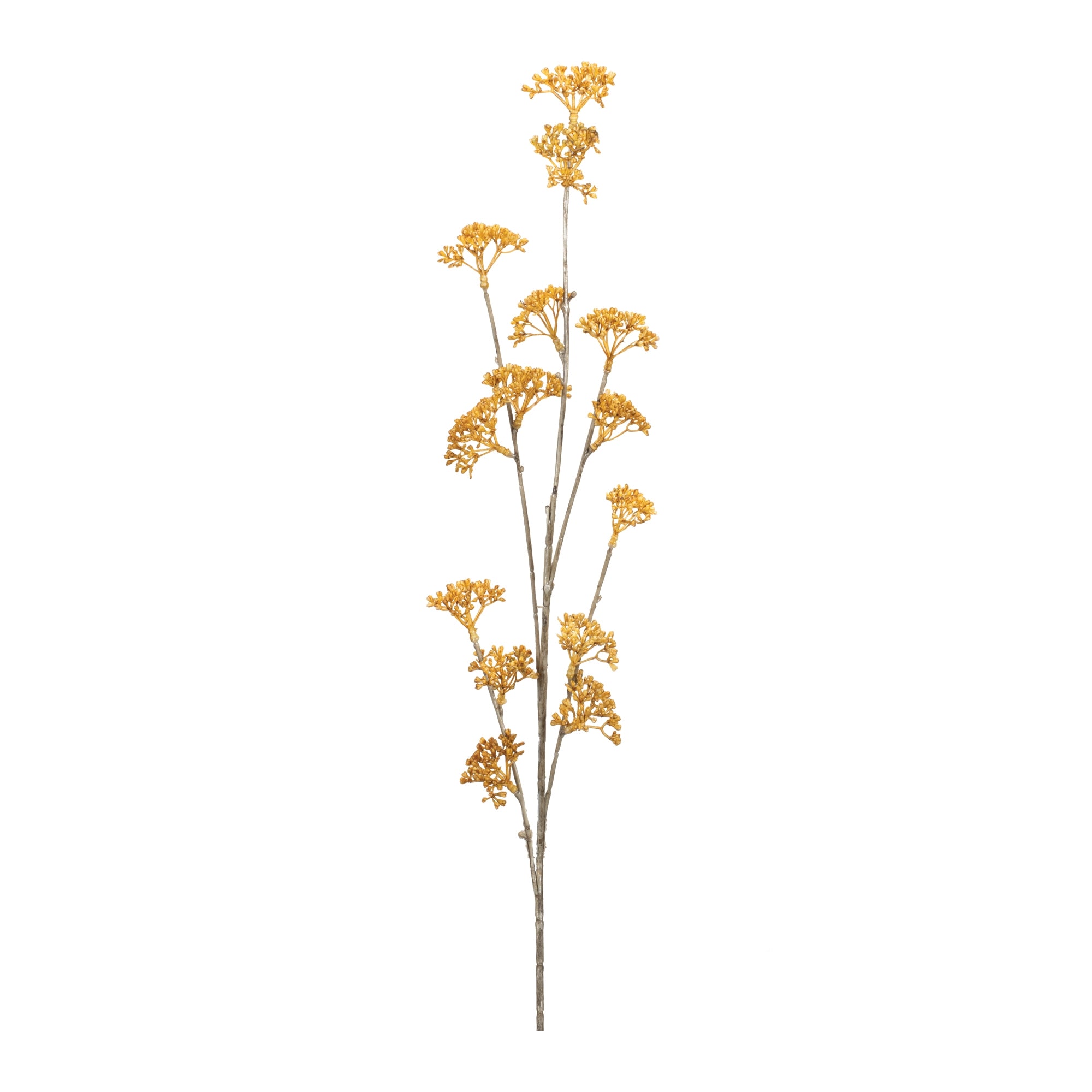 Golden Patrina Spray (Set of 12)