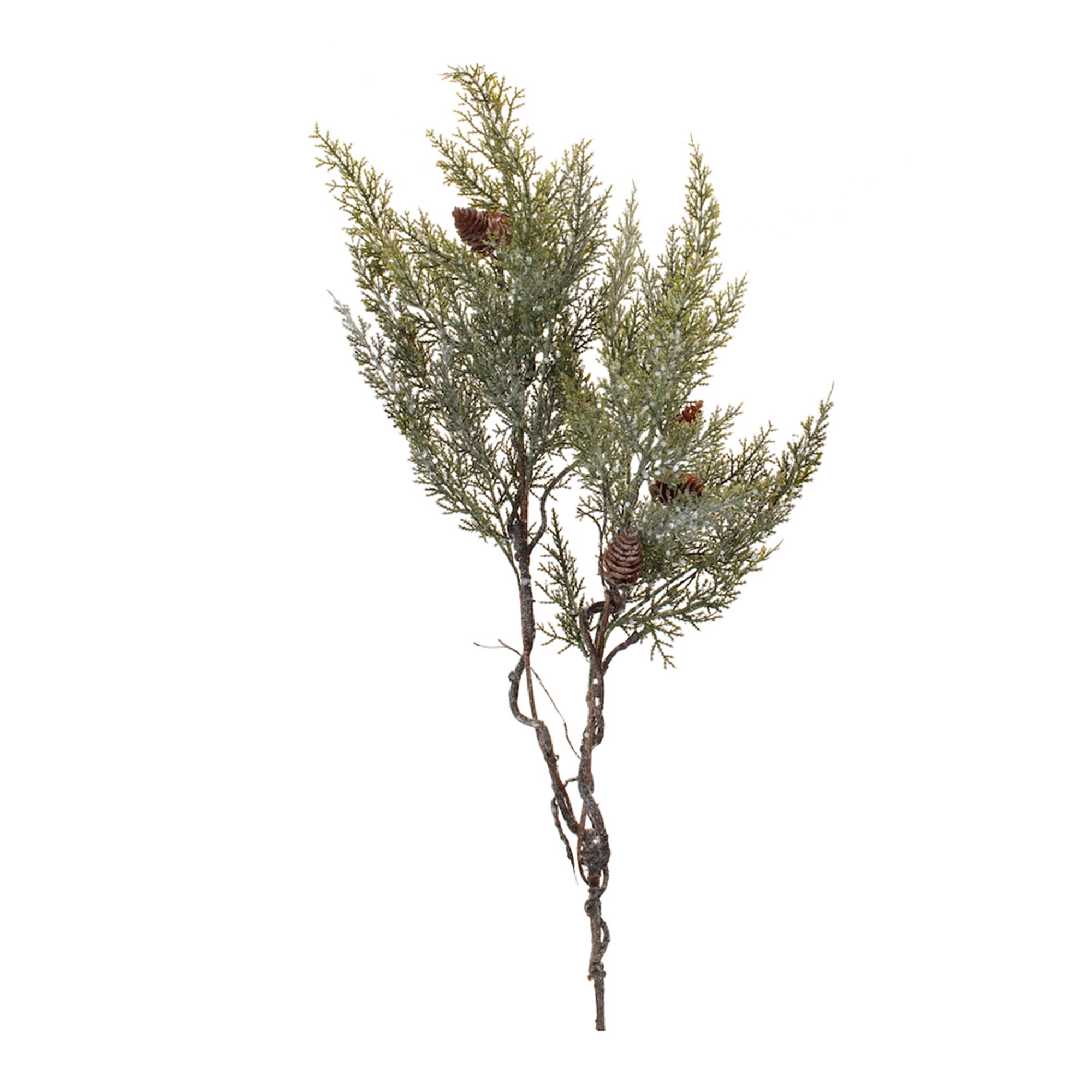 Frosted Cedar Twig Spray with Pinecones (Set of 2)