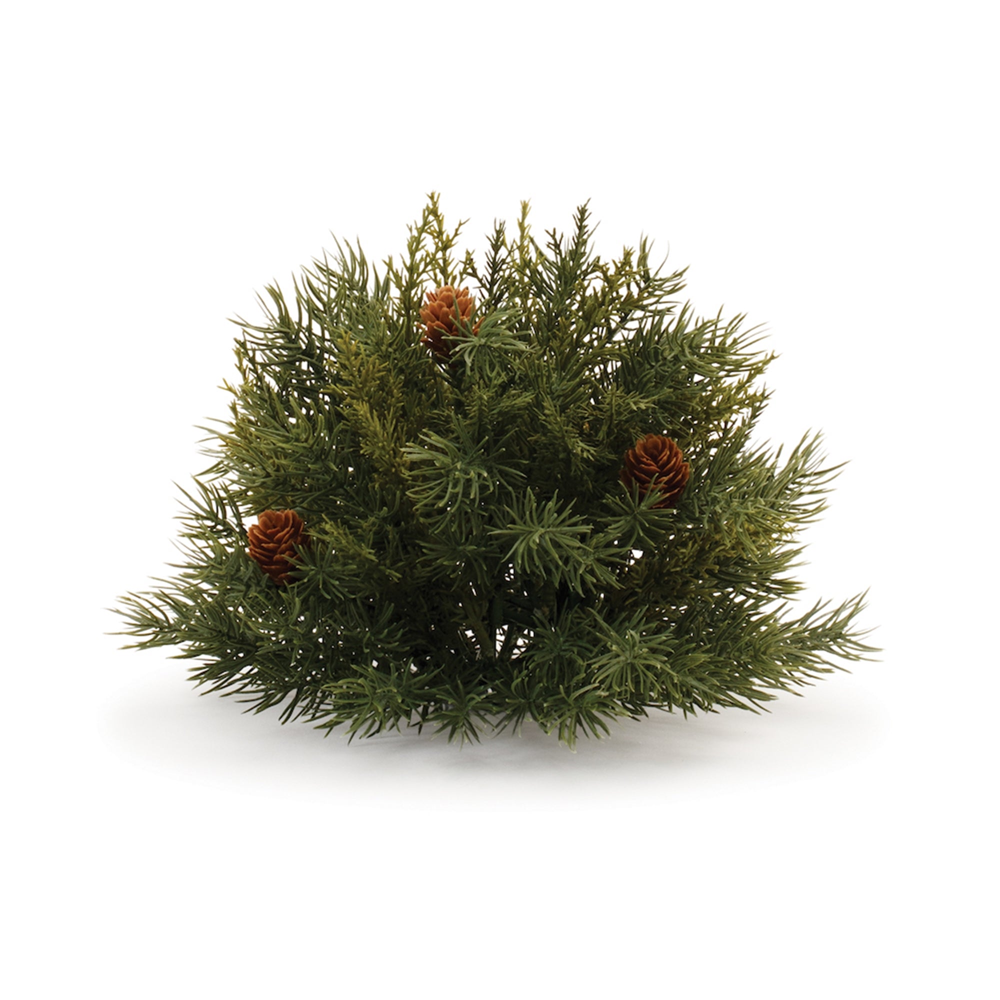 Pine Half Orb with Pinecones (Set of 2)