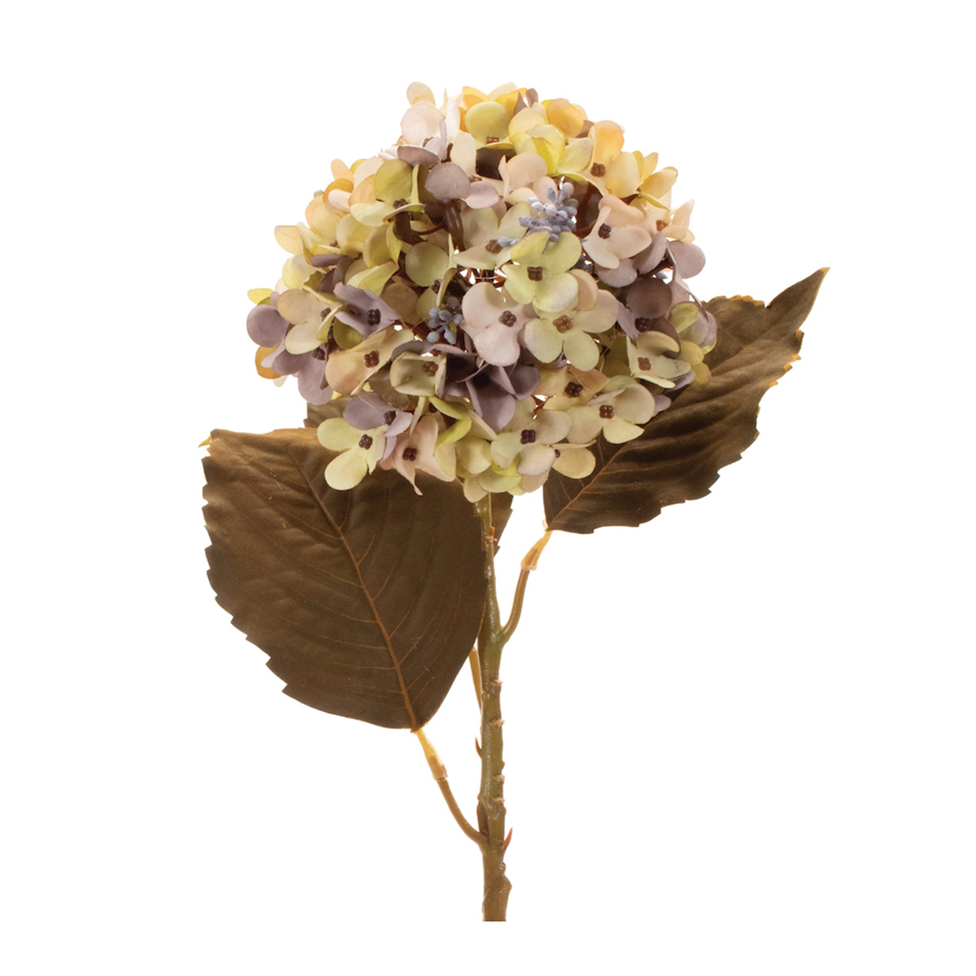 Beige Harvest Hydrangea Stem (Set of 6)