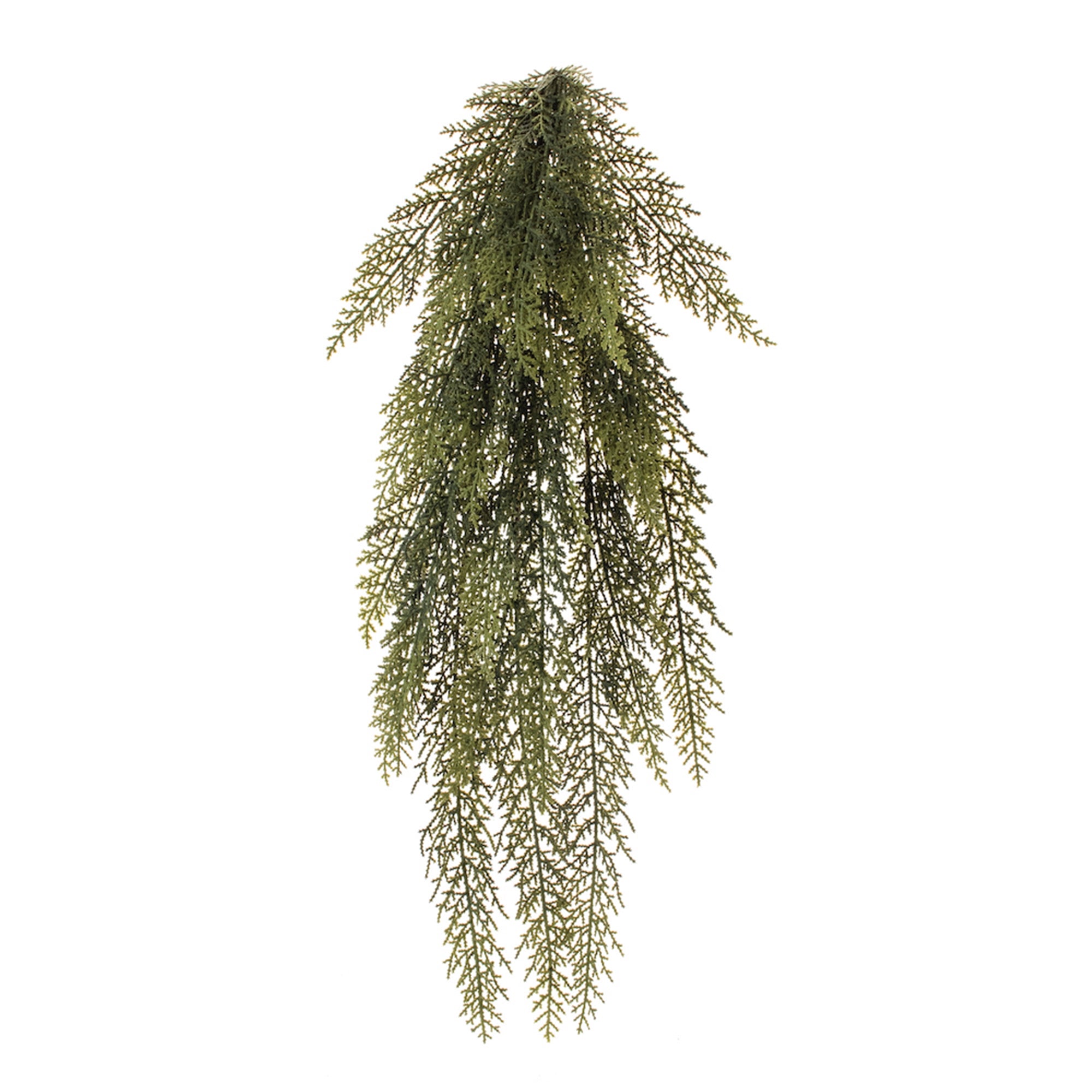 Variegated Pine Vine 31"L