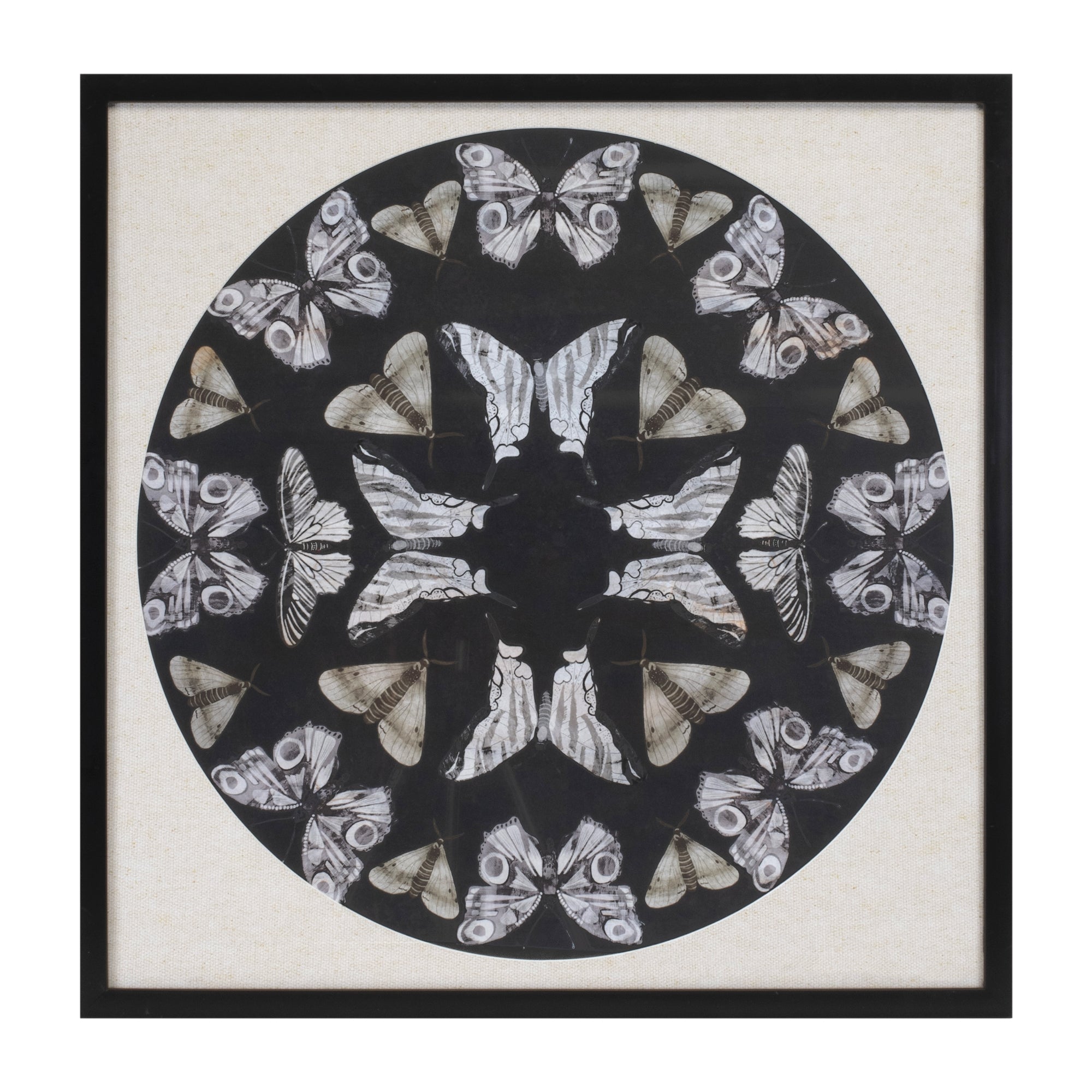 Framed Butterfly Print 25"SQ