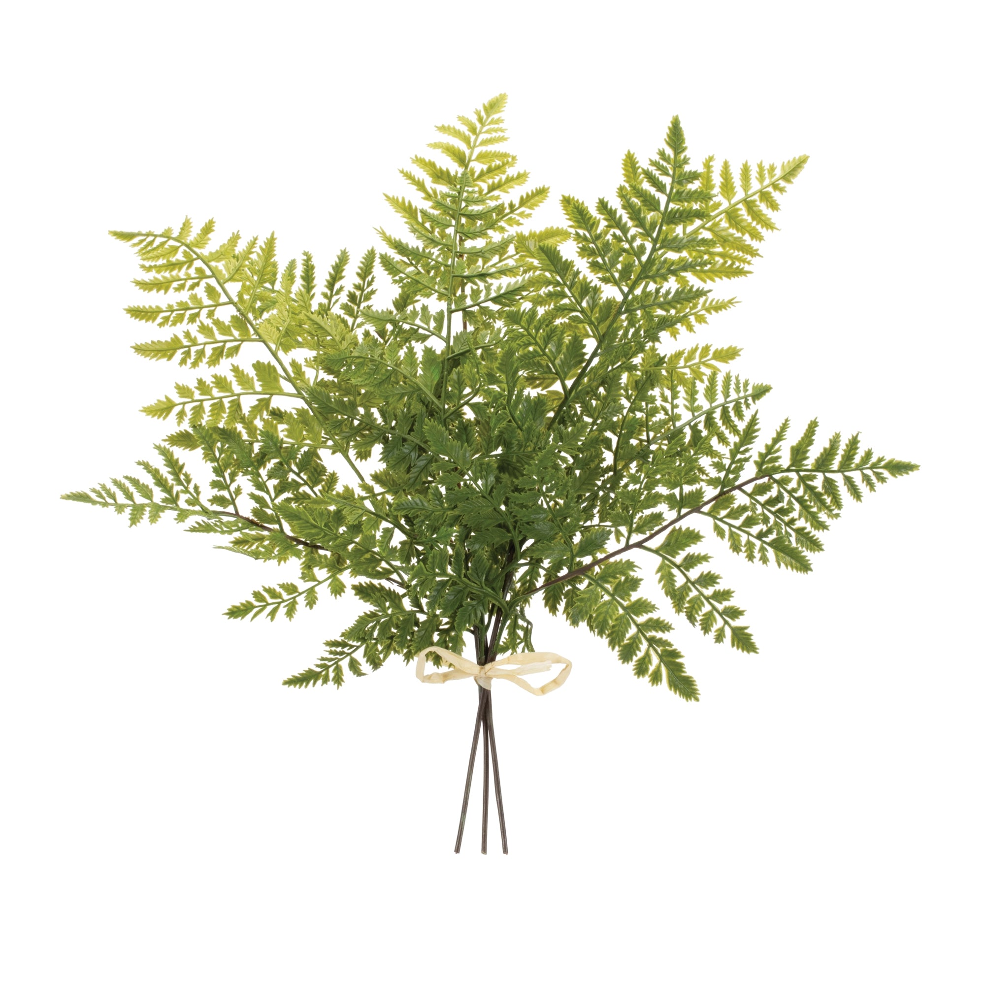 Mixed Fern Foliage Bundle (Set of 2)