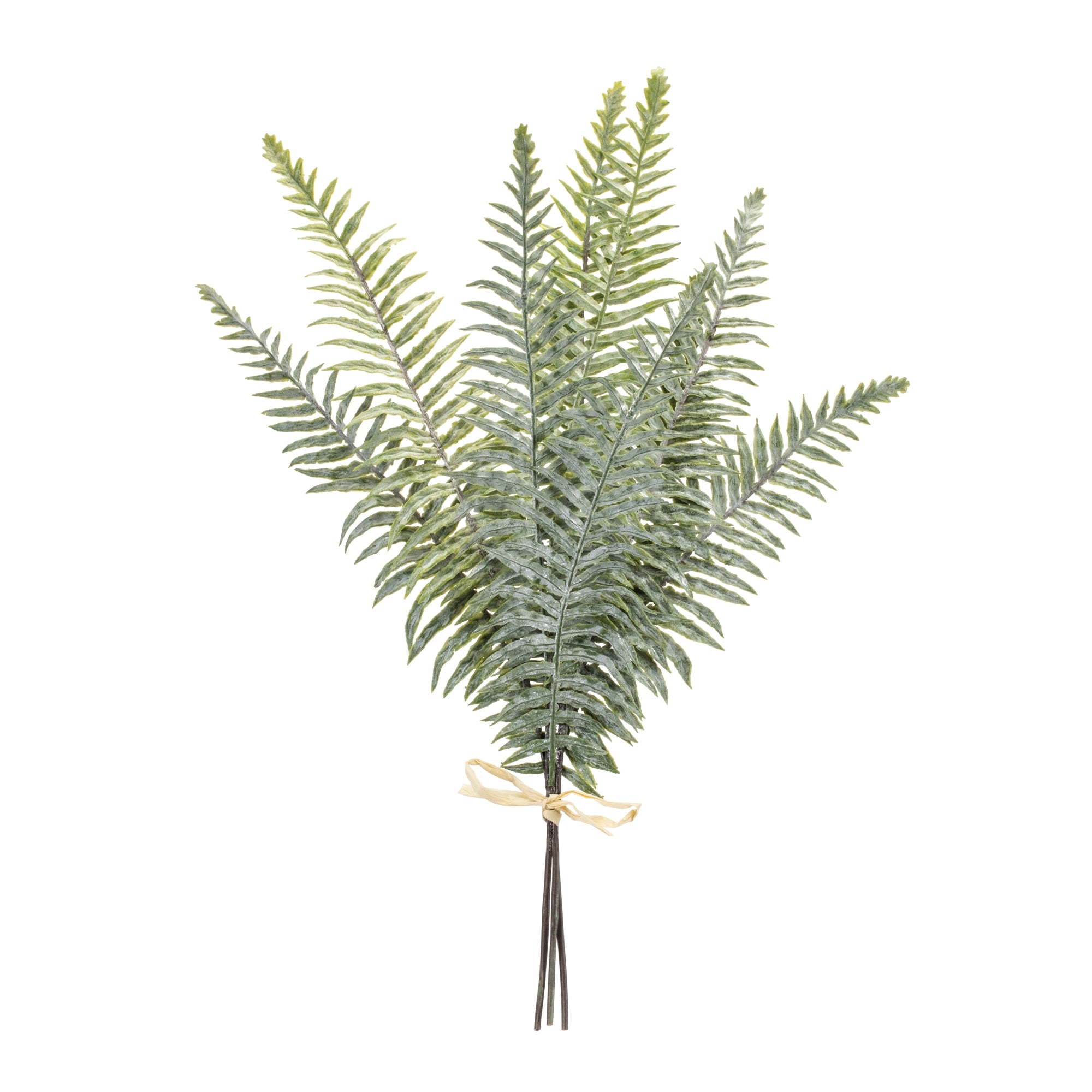 Fern Foliage Bundle (Set of 2)