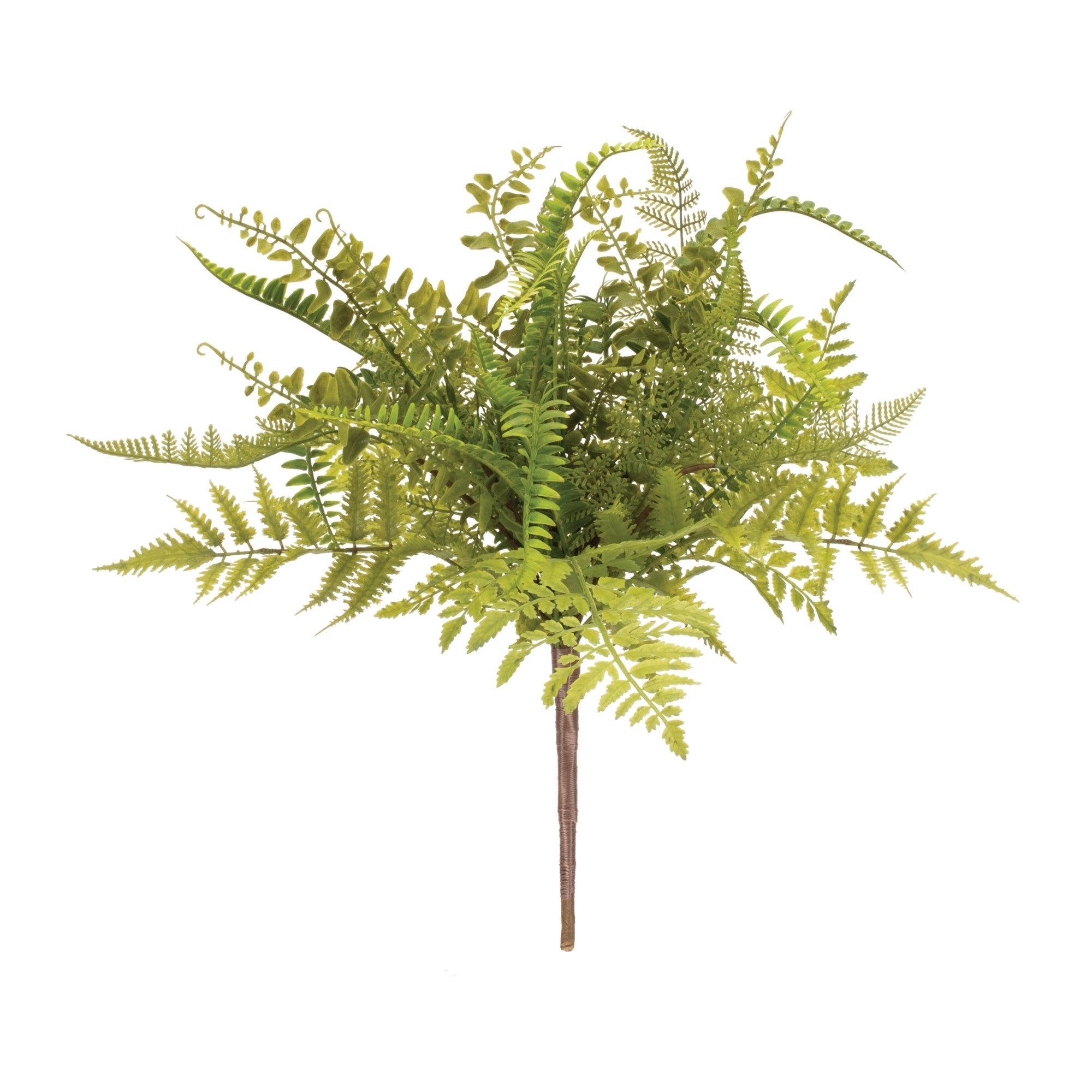 Mixed Fern Foliage Bush (Set of 2)