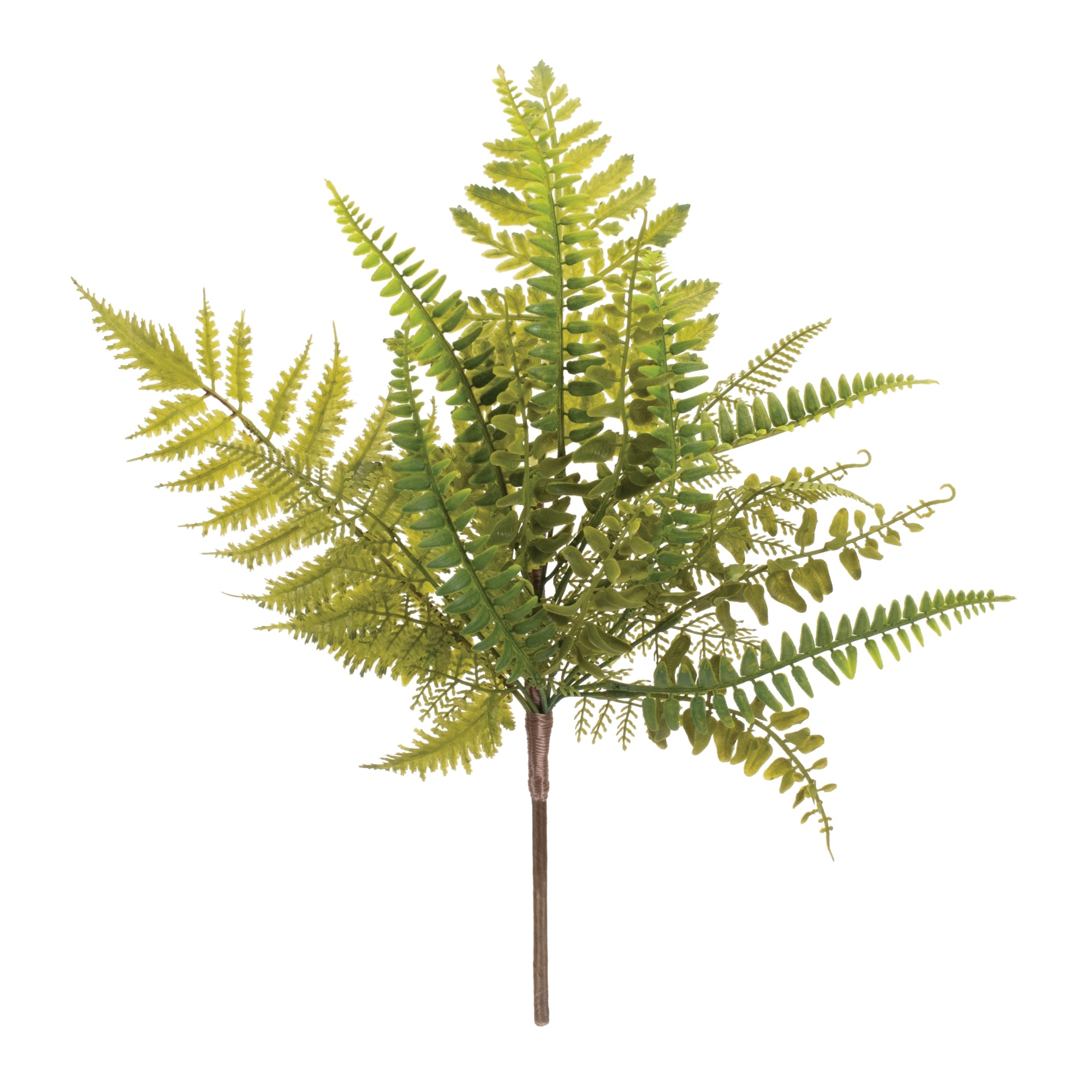 Mixed Fern Foliage Spray (Set of 6)