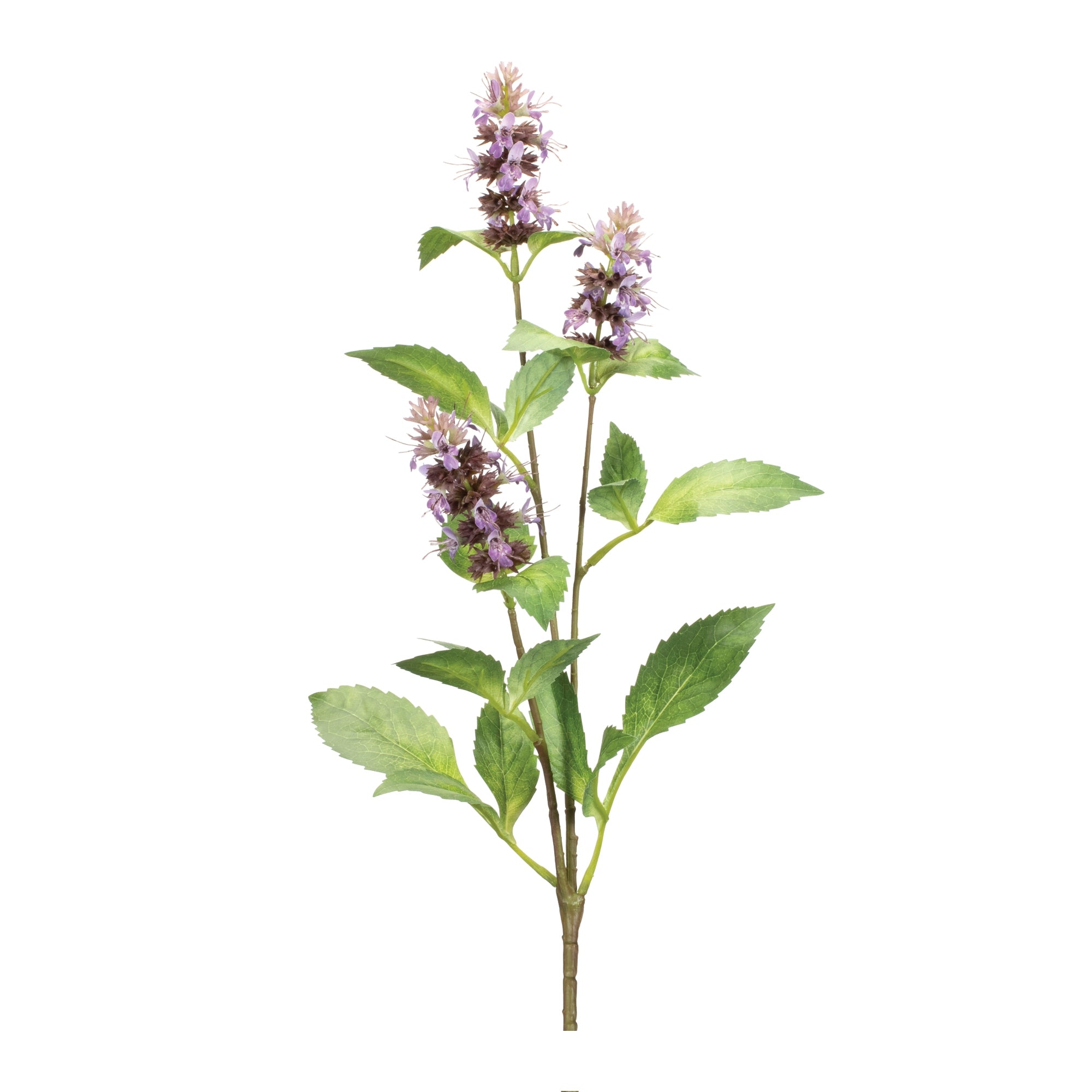 Plum Buddleia Floral Stem (Set of 6)