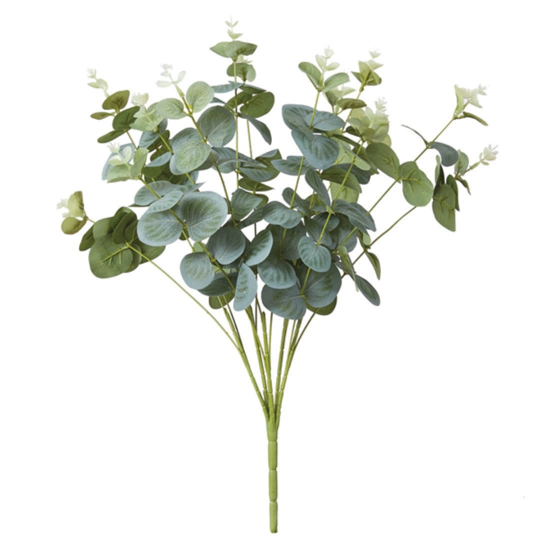 Eucalyptus Bush, Set of 2