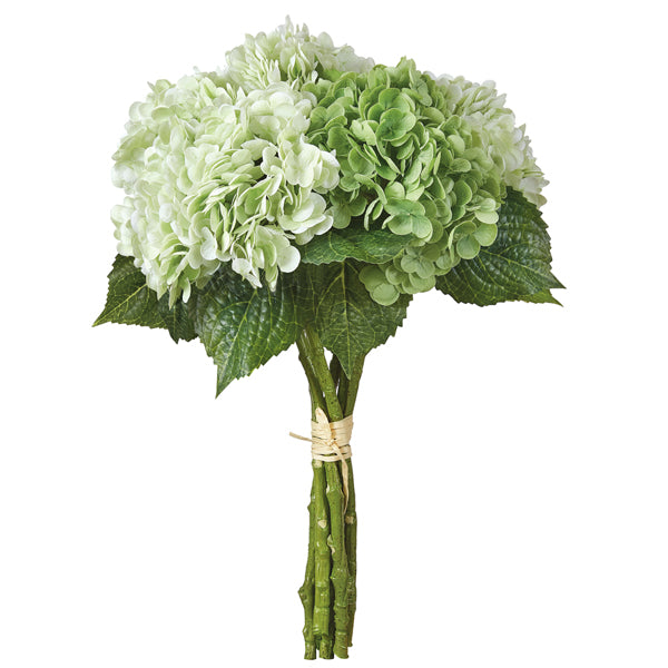 White Hydrangea Bundle of 6