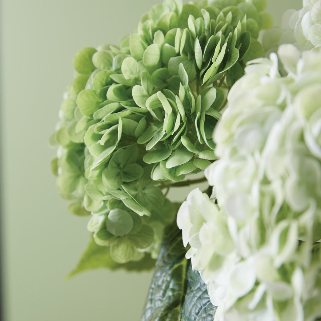 White Hydrangea Bundle of 6